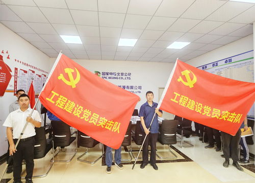 國家電投北京新能源與北京宏信組建海南工程建設聯合黨支部，共筑清潔能源新篇章